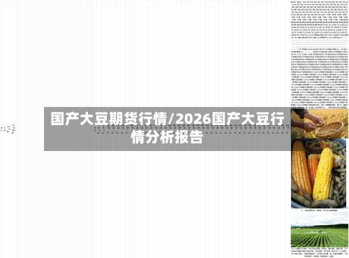 国产大豆期货行情/2026国产大豆行情分析报告