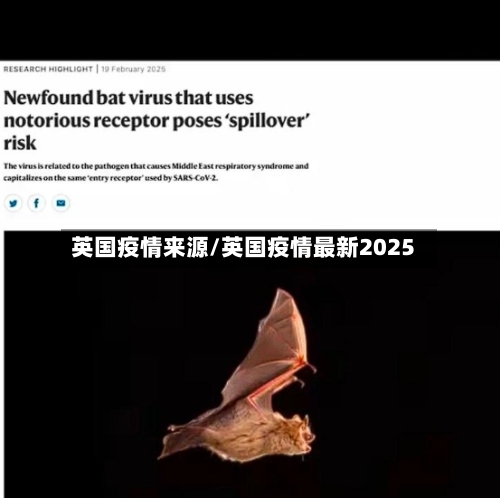 英国疫情来源/英国疫情最新2025