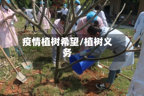 疫情植树希望/植树义务