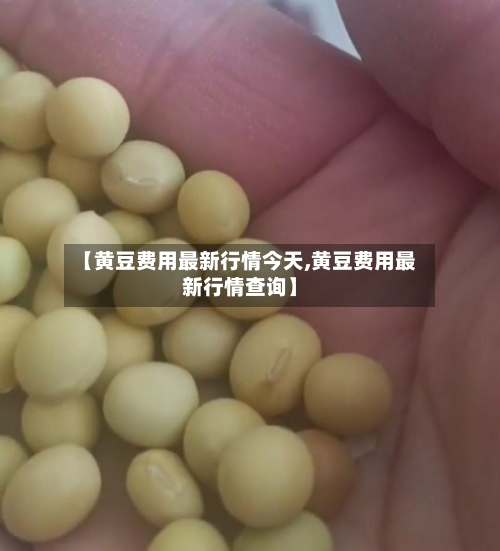 【黄豆费用最新行情今天,黄豆费用最新行情查询】