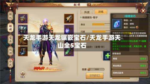 天龙手游天龙镶嵌宝石/天龙手游天山全5宝石