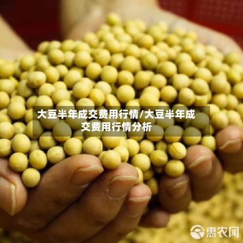 大豆半年成交费用行情/大豆半年成交费用行情分析