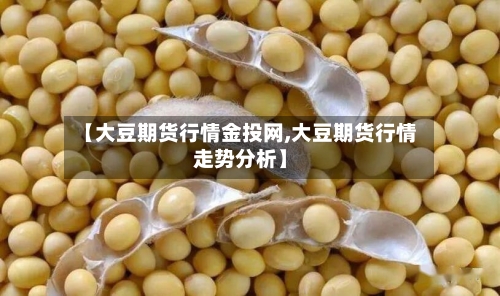 【大豆期货行情金投网,大豆期货行情走势分析】