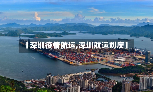 【深圳疫情航运,深圳航运刘庆】-第3张图片