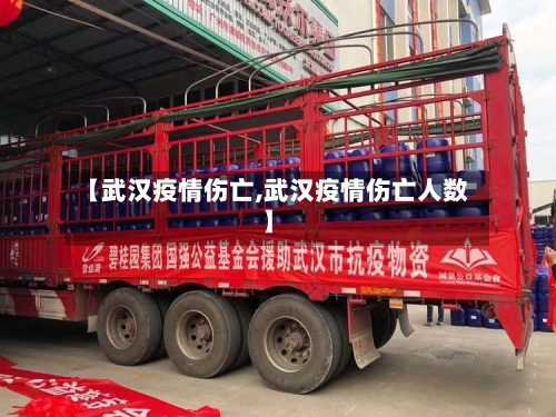 【武汉疫情伤亡,武汉疫情伤亡人数】-第2张图片