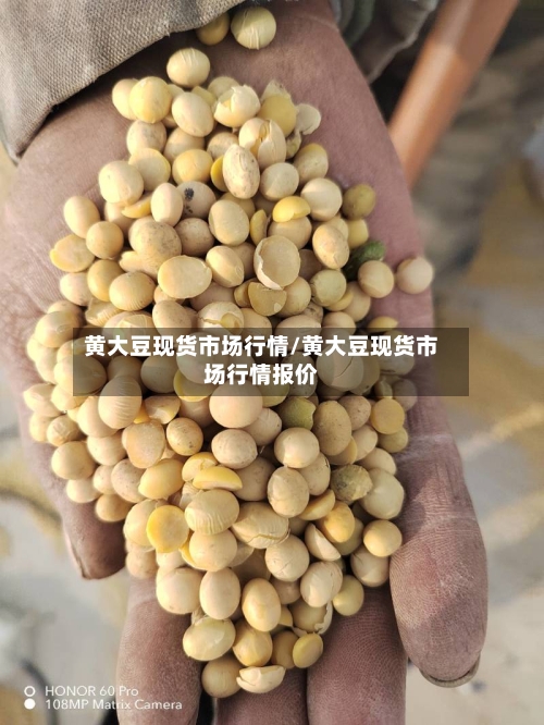 黄大豆现货市场行情/黄大豆现货市场行情报价-第2张图片