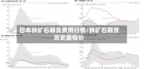日本铁矿石期货费用行情/铁矿石期货历史最低价-第2张图片