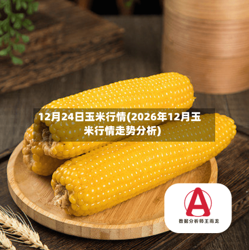 12月24日玉米行情(2026年12月玉米行情走势分析)