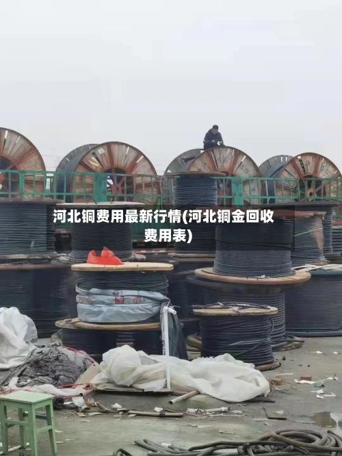 河北铜费用最新行情(河北铜金回收费用表)