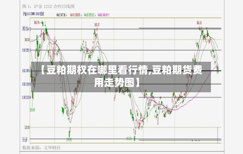 【豆粕期权在哪里看行情,豆粕期货费用走势图】-第2张图片