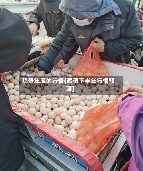鸡蛋年底的行情(鸡蛋下半年行情预测)