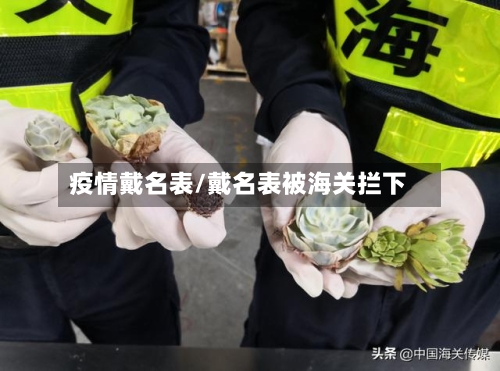 疫情戴名表/戴名表被海关拦下