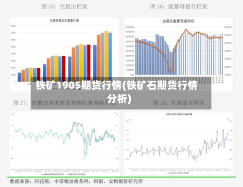 铁矿1905期货行情(铁矿石期货行情分析)