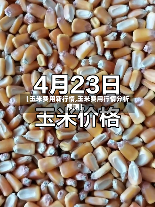 【玉米费用新行情,玉米费用行情分析预测】