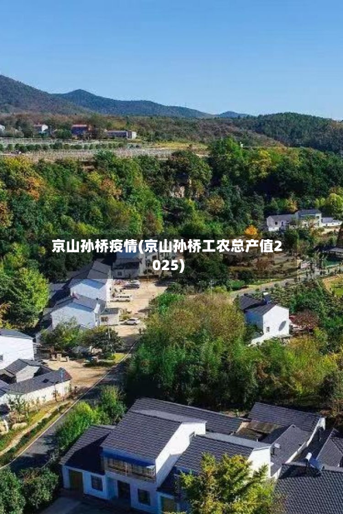 京山孙桥疫情(京山孙桥工农总产值2025)-第2张图片