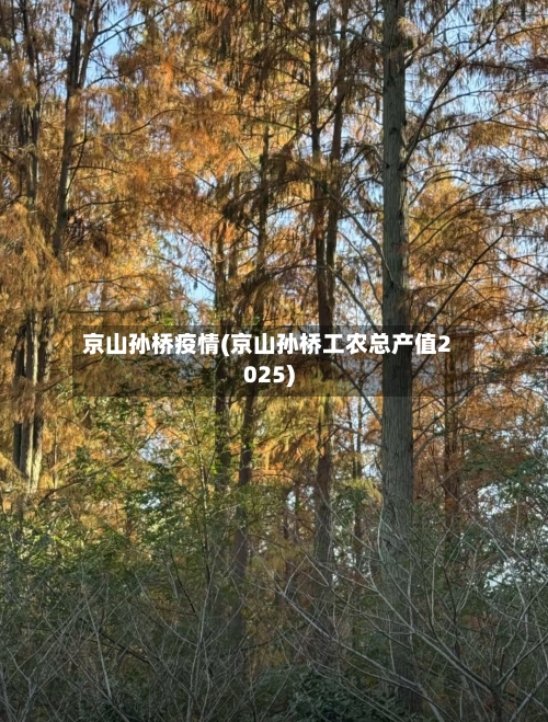 京山孙桥疫情(京山孙桥工农总产值2025)-第3张图片