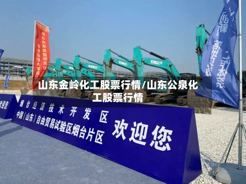 山东金岭化工股票行情/山东公泉化工股票行情-第2张图片
