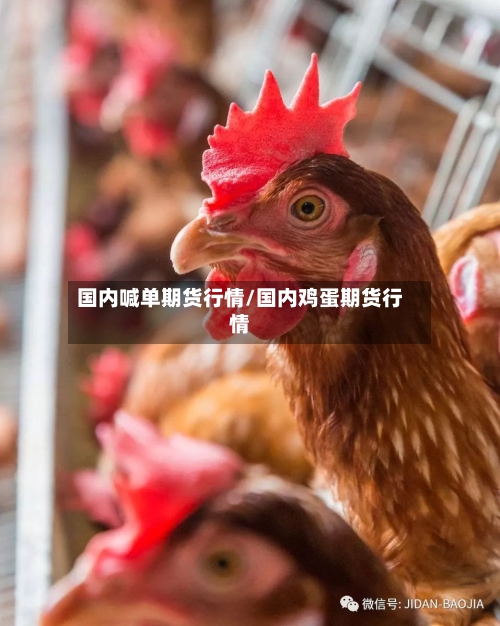 国内喊单期货行情/国内鸡蛋期货行情-第2张图片
