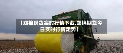 【郑棉现货实时行情下载,郑棉期货今日实时行情走势】-第2张图片