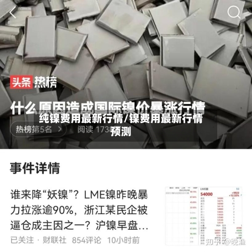 纯镍费用最新行情/镍费用最新行情预测-第2张图片