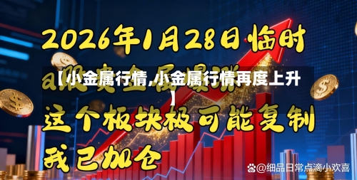 【小金属行情,小金属行情再度上升】-第2张图片