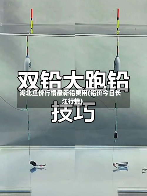 湖北鱼价行情最新铅费用(铅价今日长江行情)-第2张图片