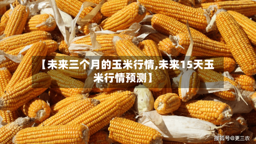 【未来三个月的玉米行情,未来15天玉米行情预测】-第2张图片