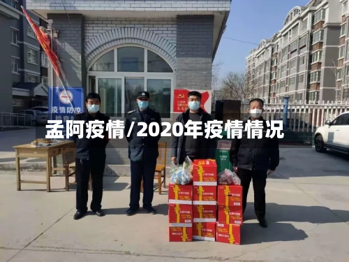 孟阿疫情/2020年疫情情况