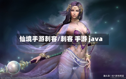 仙境手游刺客/刺客 手游 java