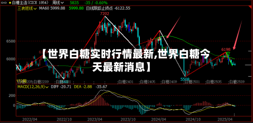 【世界白糖实时行情最新,世界白糖今天最新消息】-第2张图片