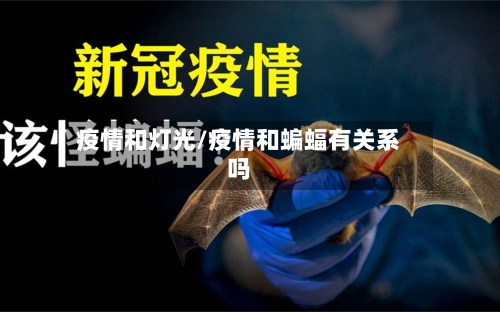 疫情和灯光/疫情和蝙蝠有关系吗