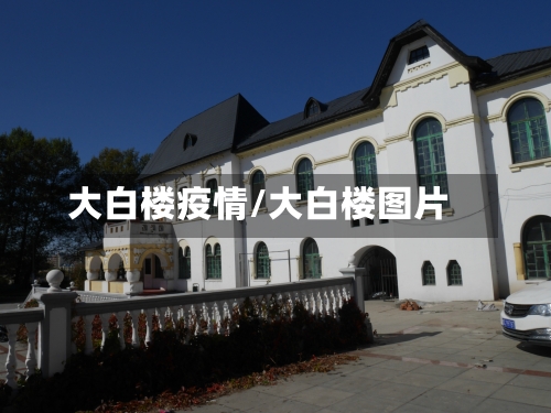 大白楼疫情/大白楼图片-第2张图片