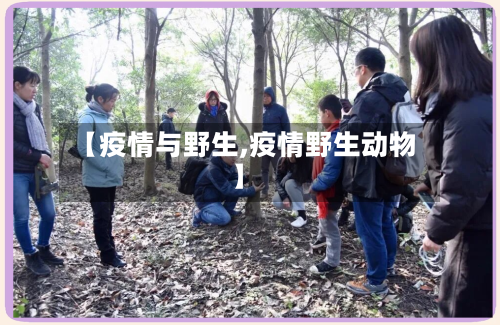 【疫情与野生,疫情野生动物】