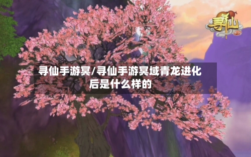 寻仙手游冥/寻仙手游冥域青龙进化后是什么样的-第3张图片