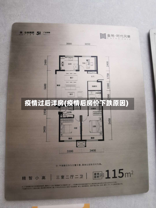 疫情过后洋房(疫情后房价下跌原因)-第2张图片