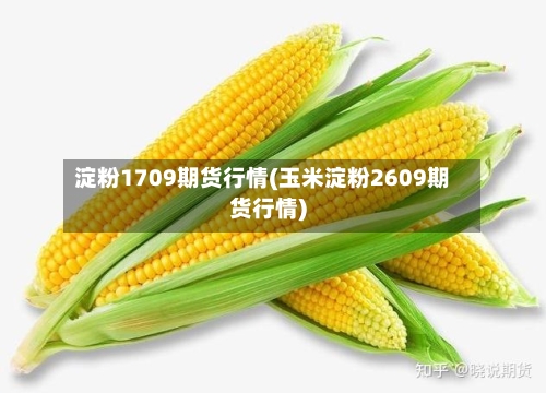 淀粉1709期货行情(玉米淀粉2609期货行情)-第2张图片