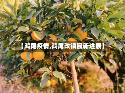 【鸿尾疫情,鸿尾改镇最新进展】