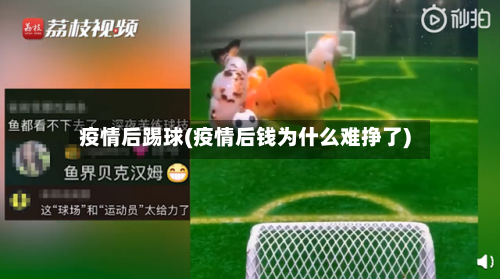 疫情后踢球(疫情后钱为什么难挣了)
