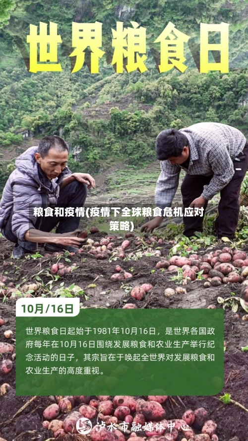 粮食和疫情(疫情下全球粮食危机应对策略)