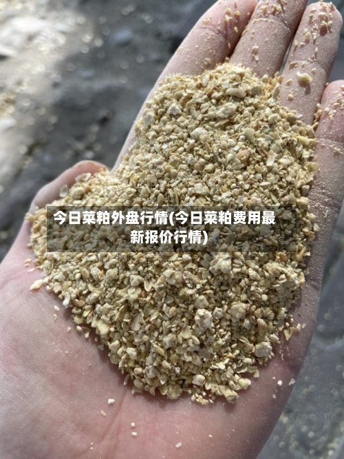 今日菜粕外盘行情(今日菜粕费用最新报价行情)