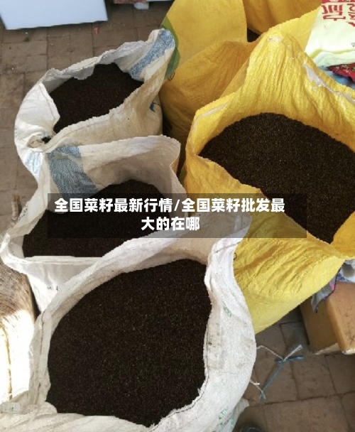 全国菜籽最新行情/全国菜籽批发最大的在哪-第2张图片
